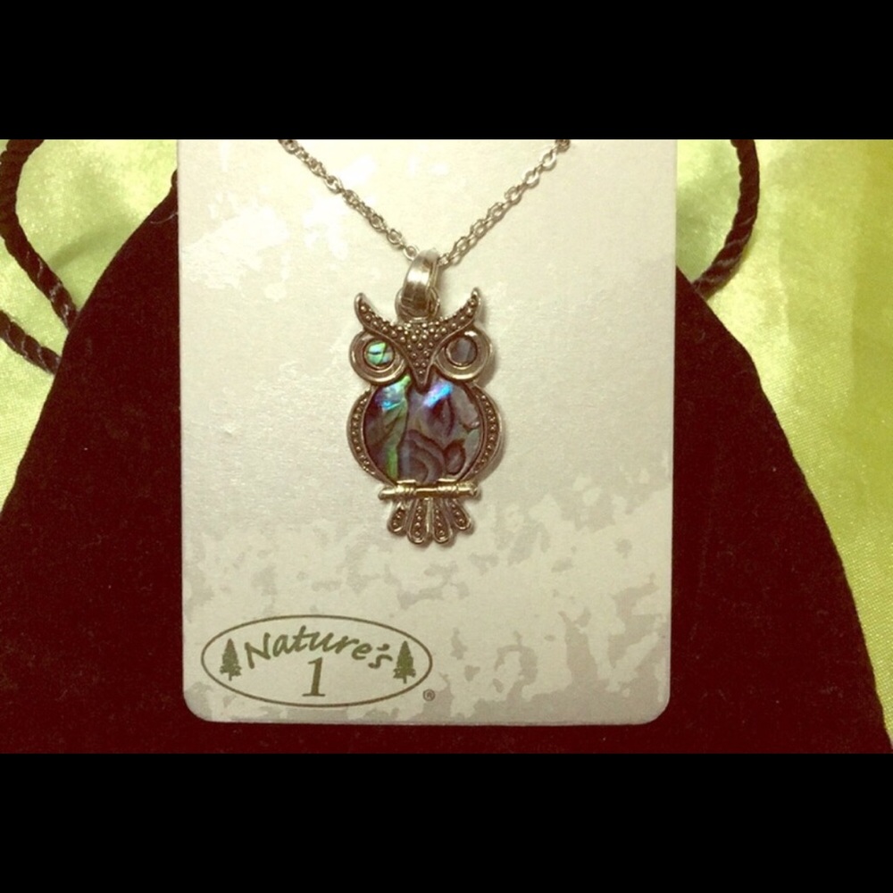 NEW! Nature’s 1 Abalone Earring & Necklace Set